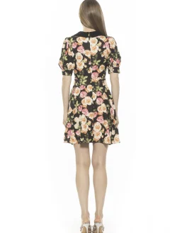 Carrys Dress