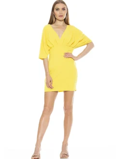 Deep V Mini Dress
