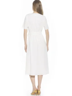Larisa V Neck Dress