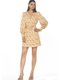 Mini Wrap Dress