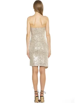 Strapless Mini Sequin Dress